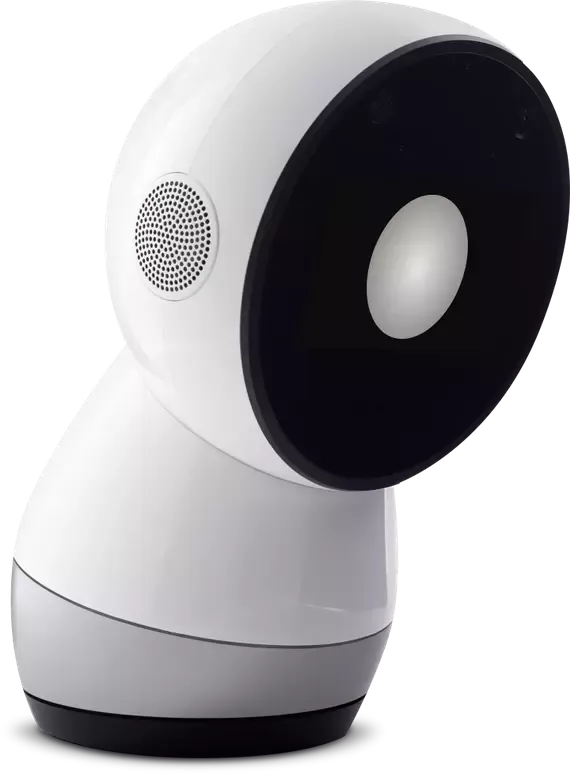 Jibo robot